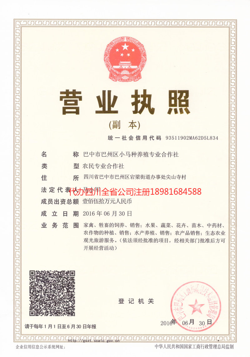 新密新密小马种养殖专业合作社